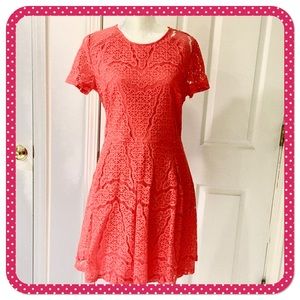 💝 APT 9 💝 orange/tangerine short sleeved dress size womens 12